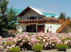 Voyage sur-mesure, Petit B&B sur Milford Road